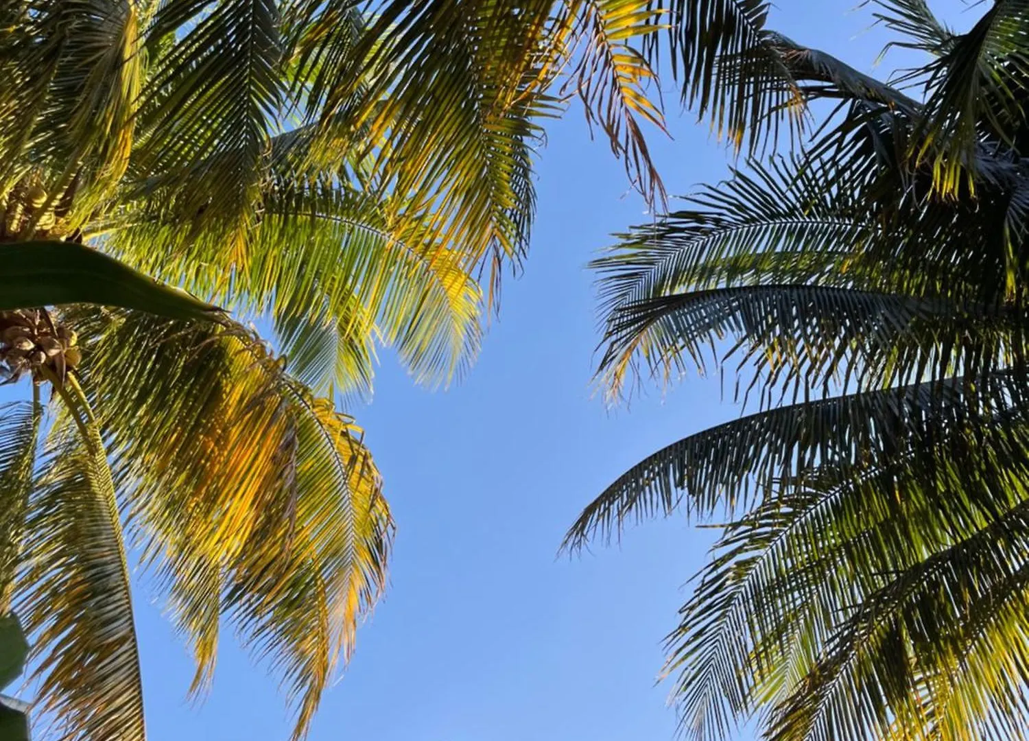Lumina Lägenhet Tulum